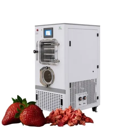 New TPV Series Freeze Dryers - Efficient And Reliable Freeze Drying Solutions